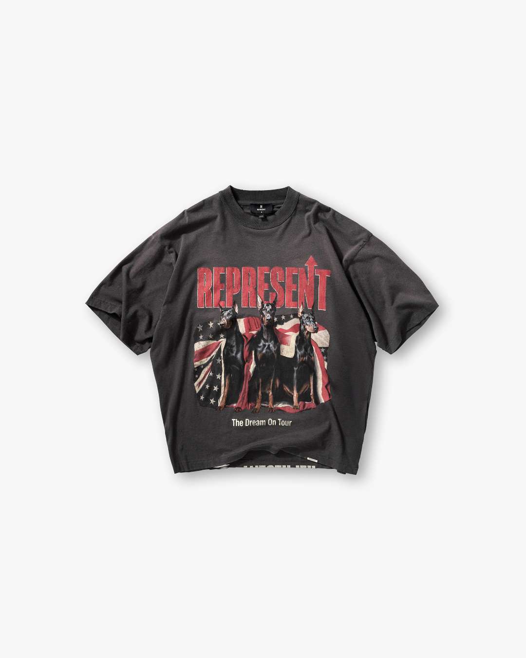 Dream On Tour T-Shirt - Sun Fade Grey