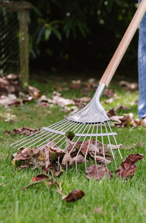 Garden & Outdoor Living