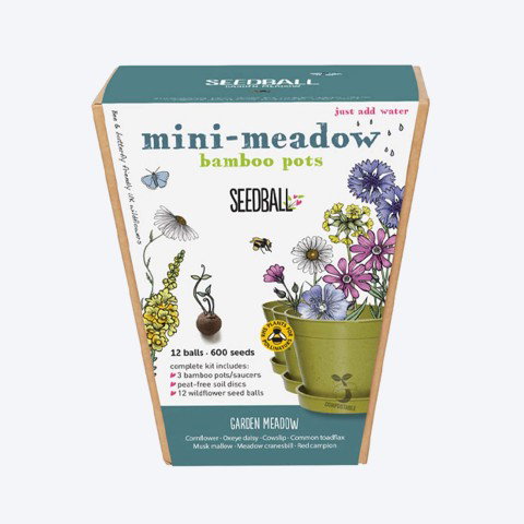 Mini Meadow Pots