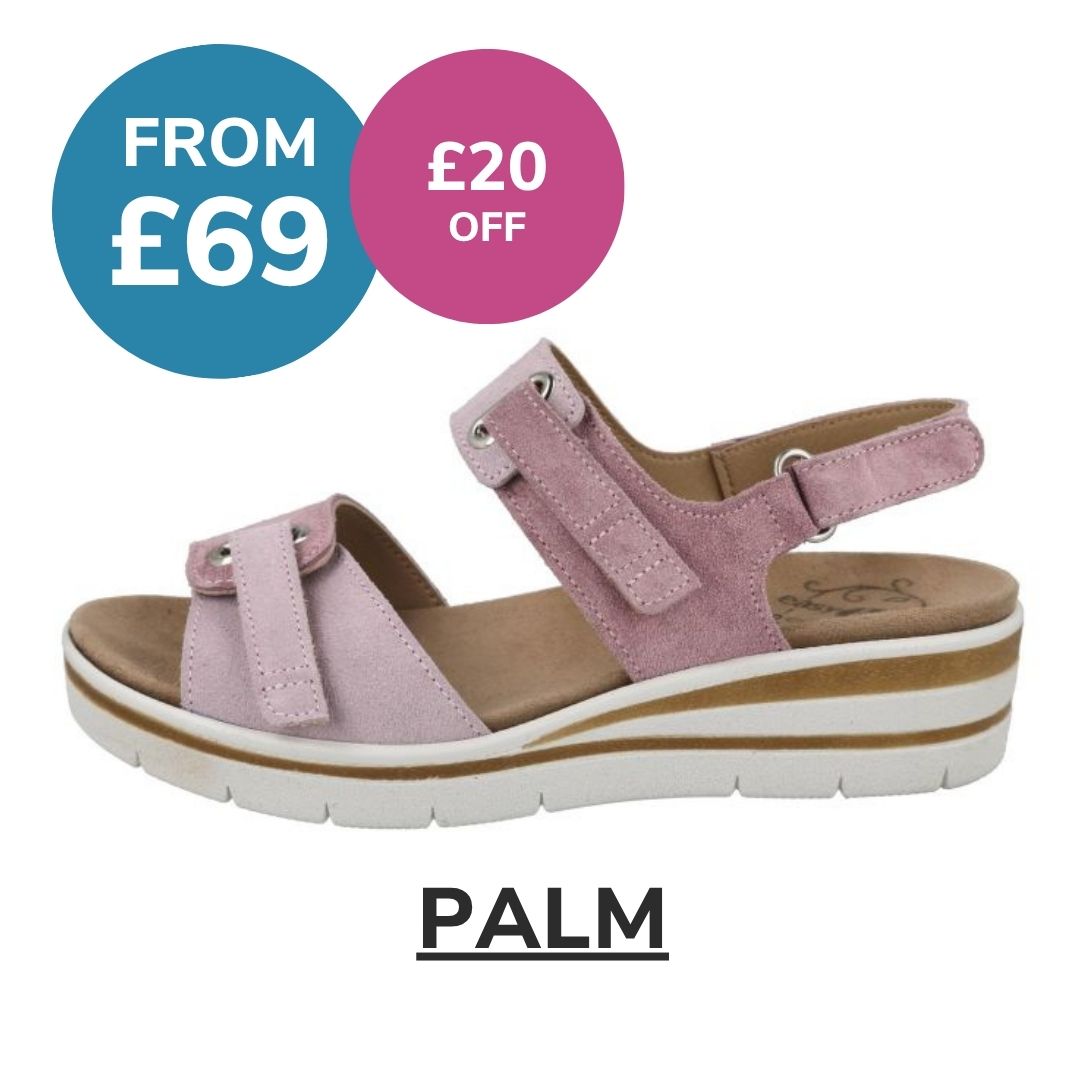 Palm - lilac
