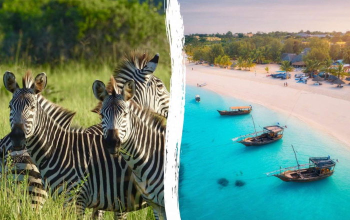 Tanzania Safari & AHG Hotel Zanzibar Roulette