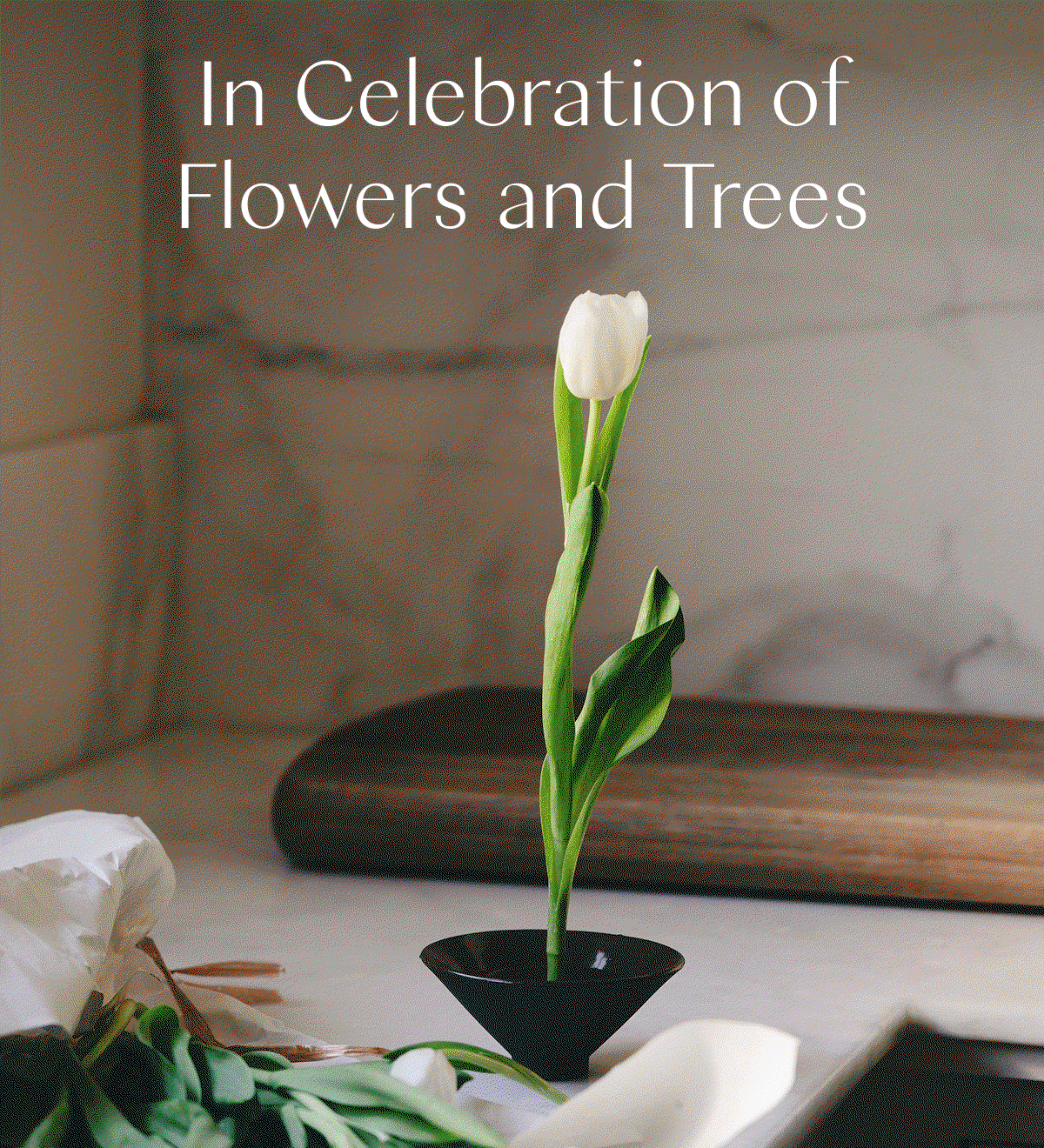 In Celebration of Flowers and Trees 