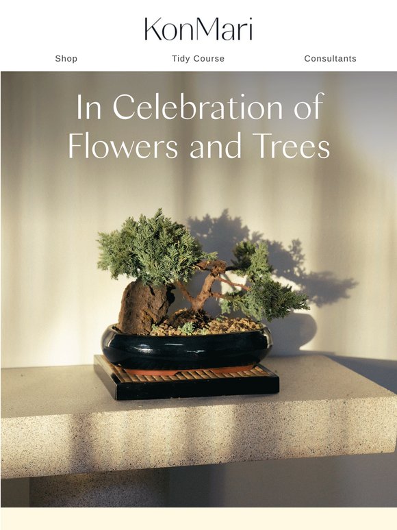 Ikebana and Bonsai: A History