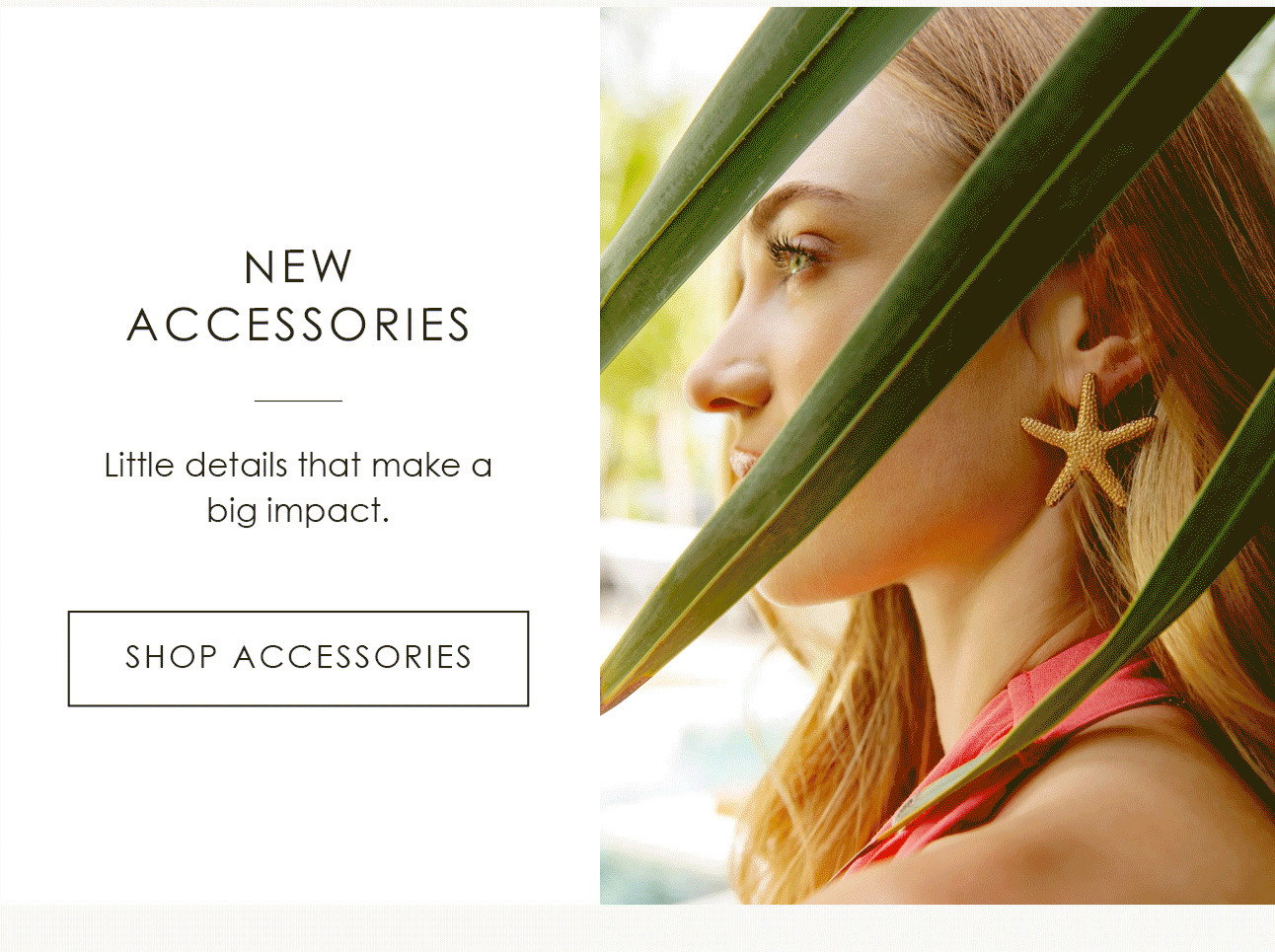 NEW ACCESSORIES