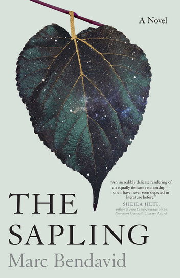 The Sapling by Marc Bendavid