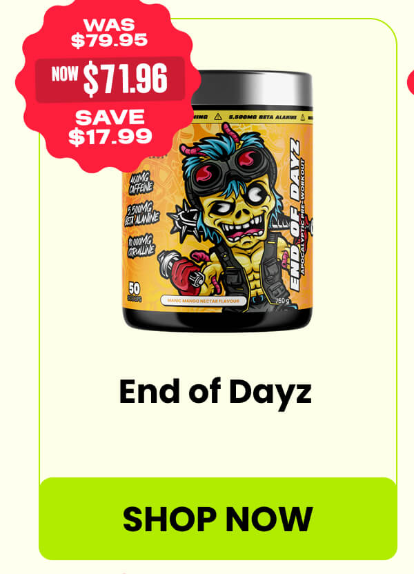 End of Dayz