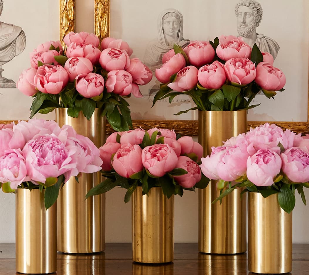 The Peony Subscription