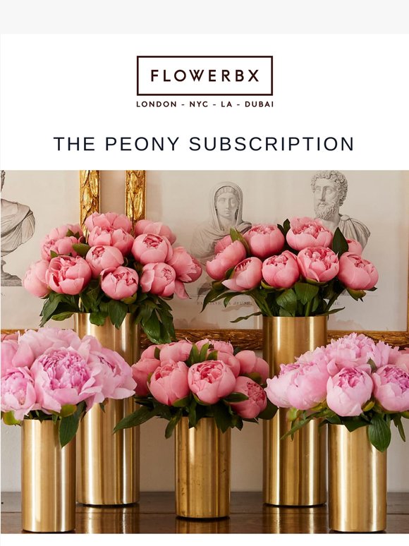 Discover The Peony Subscription
