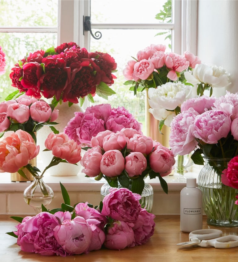 Peony Subscription
