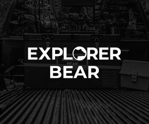 Explorer Bear