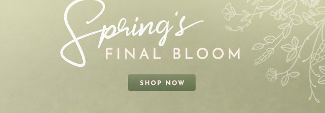 Shop Spring's Final Bloom Sale