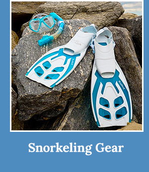 Snorkeling Gear