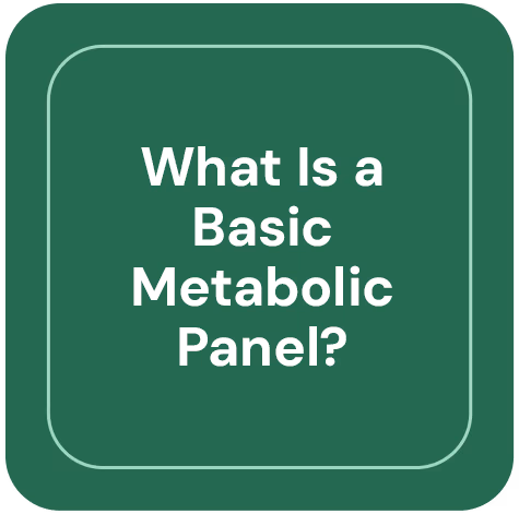 What is a basic metabolic panel?
