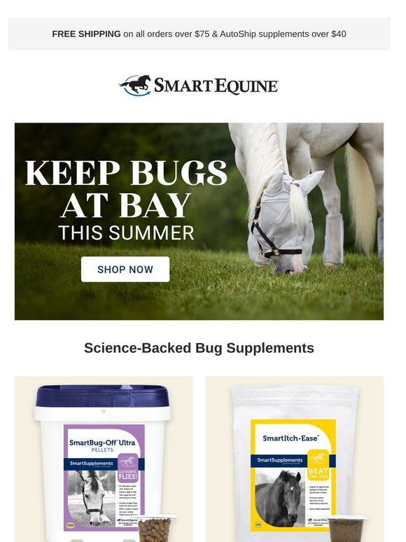 Stop Bugs Before They Start