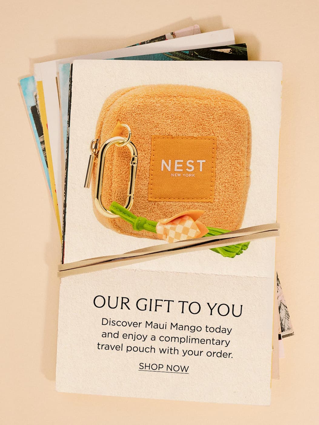 Our Gift to You