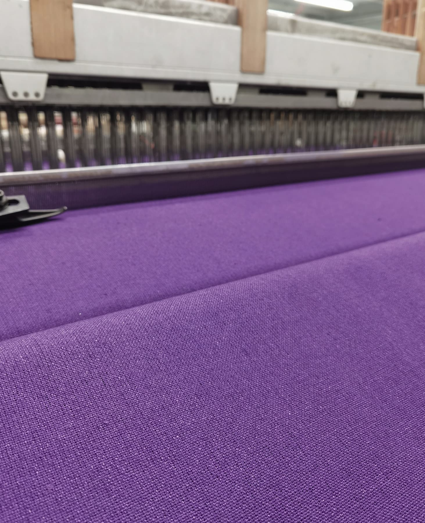 The Colour Purple - Irish Linen
