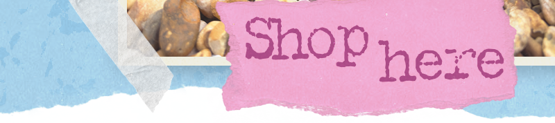 Shop Everything