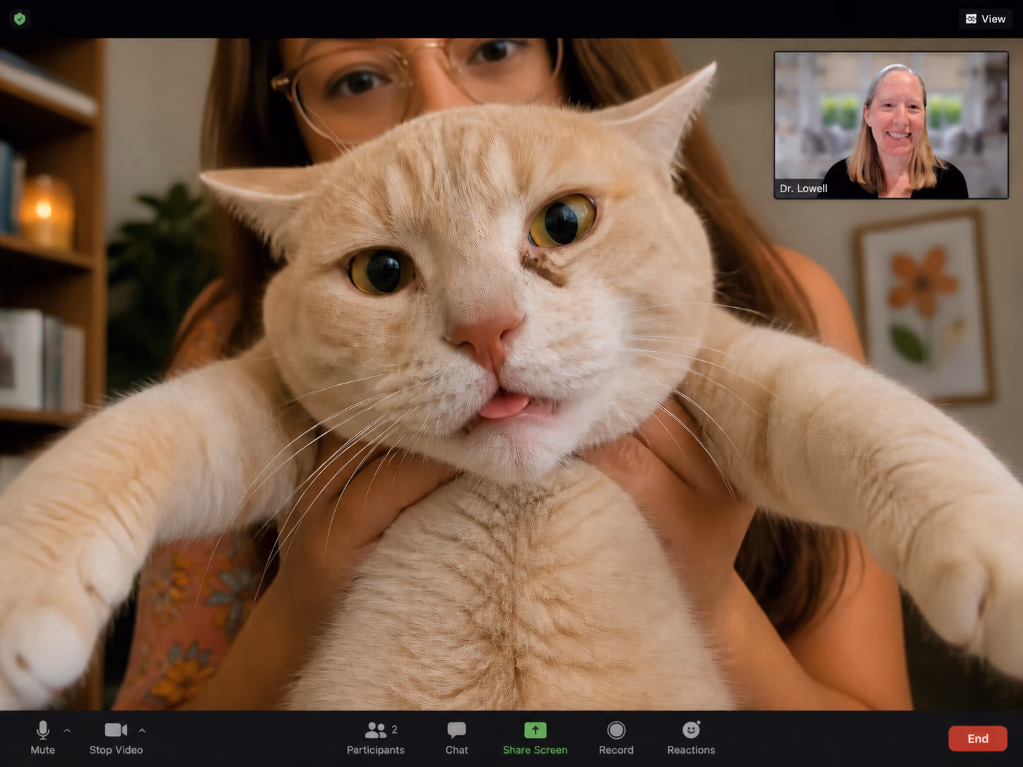 A cat being held up to a vet on a video call