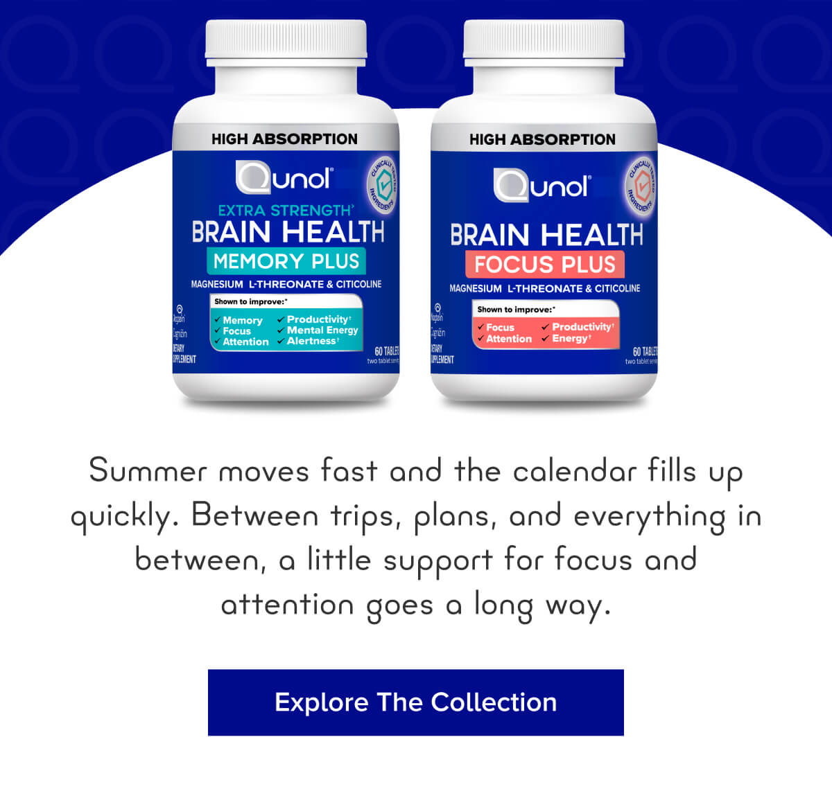 Explore The Collection