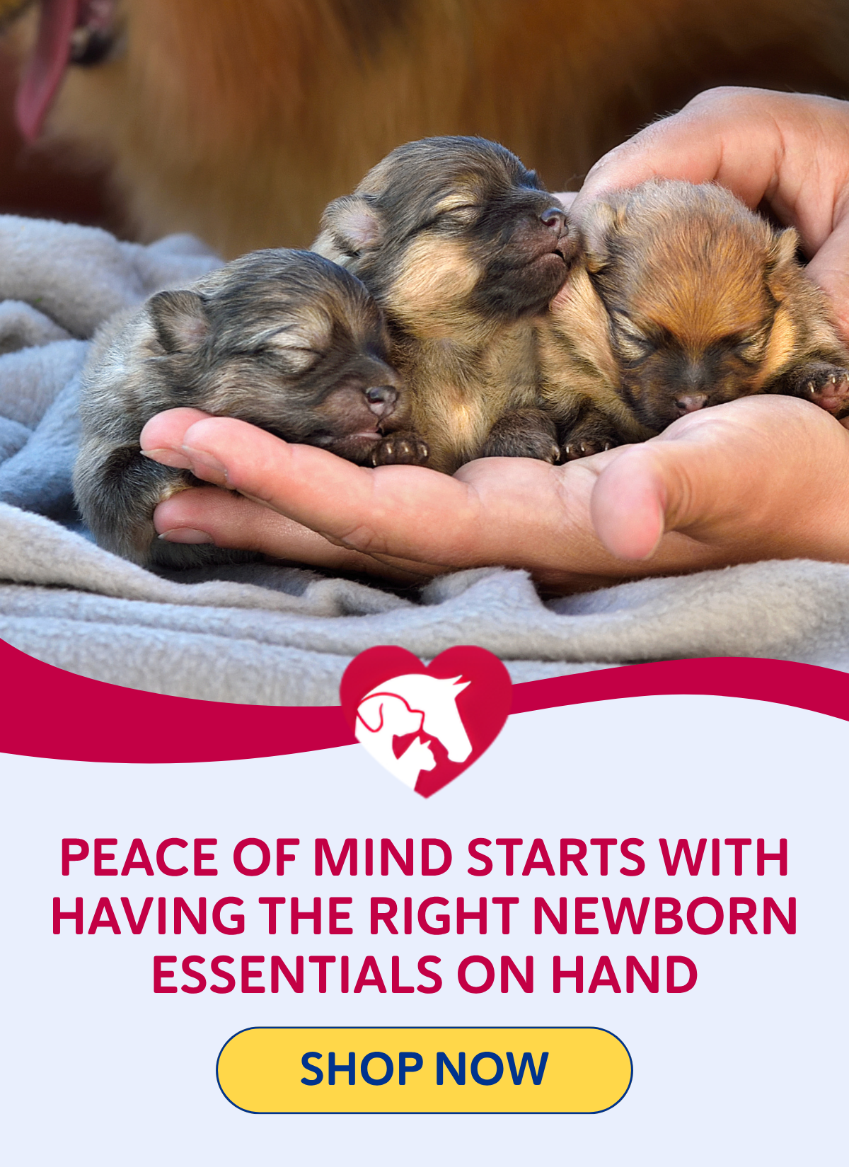 Peace of mind starts with having the right newborn essentials on hand- SHOP NOW
