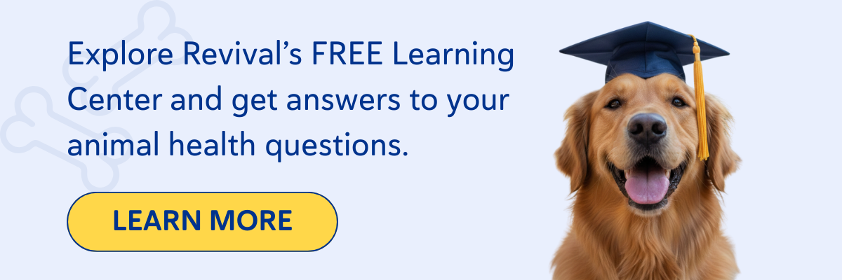 Revival’s free Learning Center