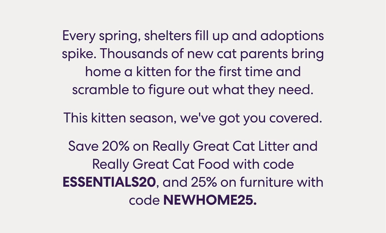 Save 20% on Really Great Cat Litter and Really Great Cat Food, and 25% on furniture with code NEWHOME25