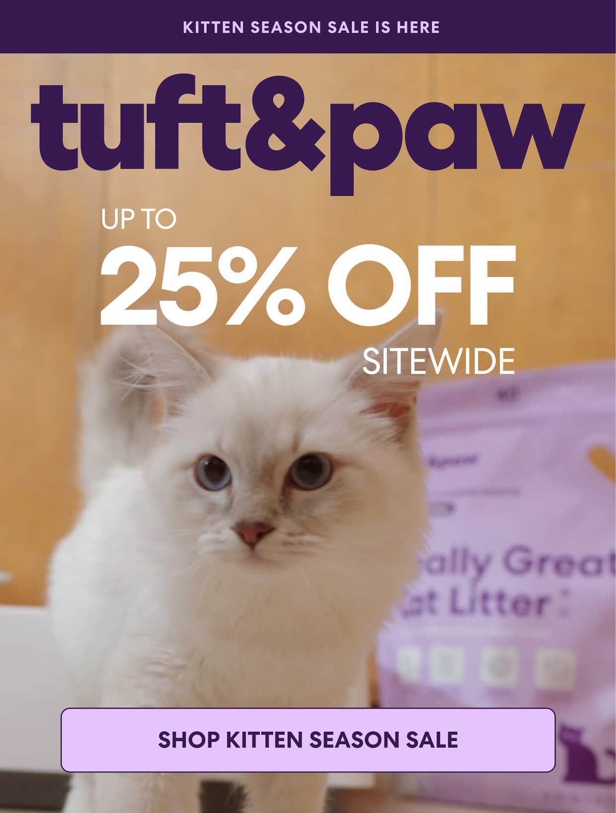 Kitten season sale is here up to 25% off sitewide