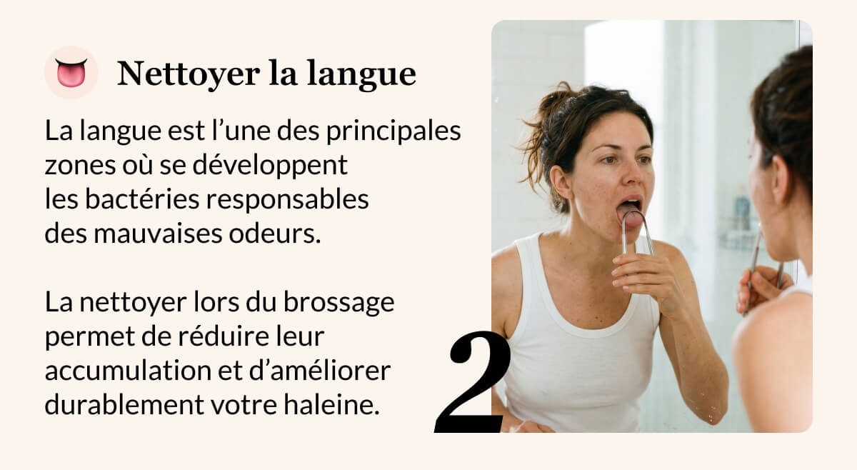 2 👅 Nettoyer la langue La langue est l’une des principales zones où se développent  les bactéries responsables  des mauvaises odeurs.   La nettoyer lors du brossage permet de réduire leur accumulation et d’améliorer durablement votre haleine.