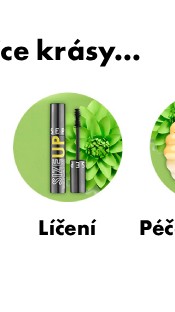Líčení