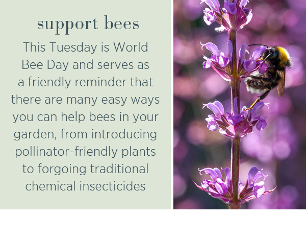 Support bees. This Tuesday is World Bee Day and serves as a friendly reminder that there are many easy ways you can help bees in your garden, from introducing pollinator-friendly plants to forgoing traditional chemical insecticides.