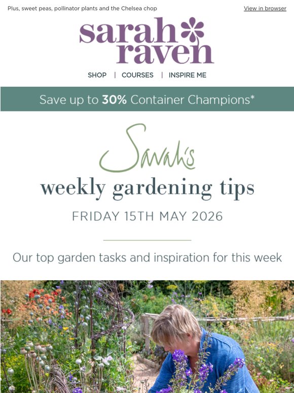 Sarah's weekly tips | 30% off Container Champions