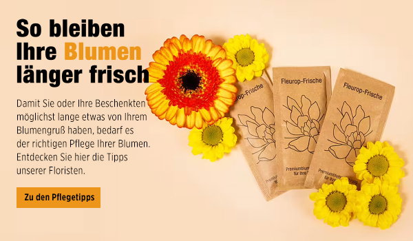 Pflegetipps für Schnittblumen in der Vase