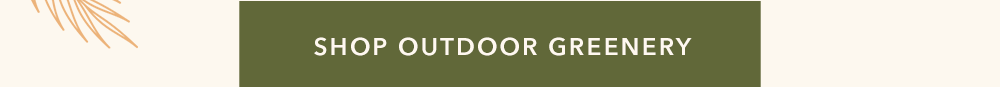 Shop Outdoor Greenery