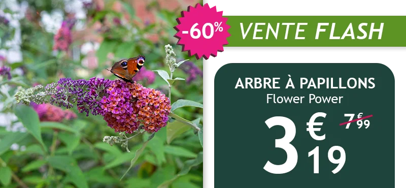 L'arbre à papillons Flower Power est à -60%