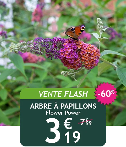 Arbre à papillons Flower Power à -60%