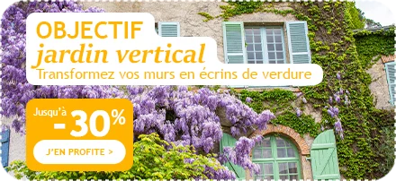 Objectif jardin vertical : jusqu'à -30%