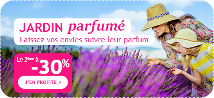 Jardin parfumé : la 2ème plante a -30% !