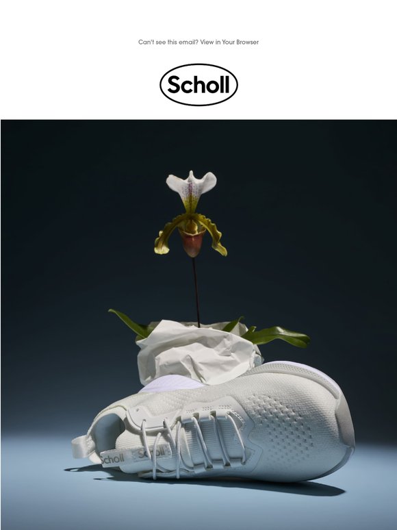 20% di sconto + spedizione gratuita questo weekend