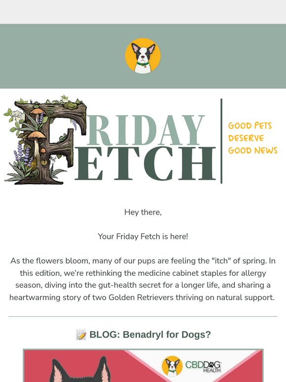 Don't miss this Friday Fetch 🐾