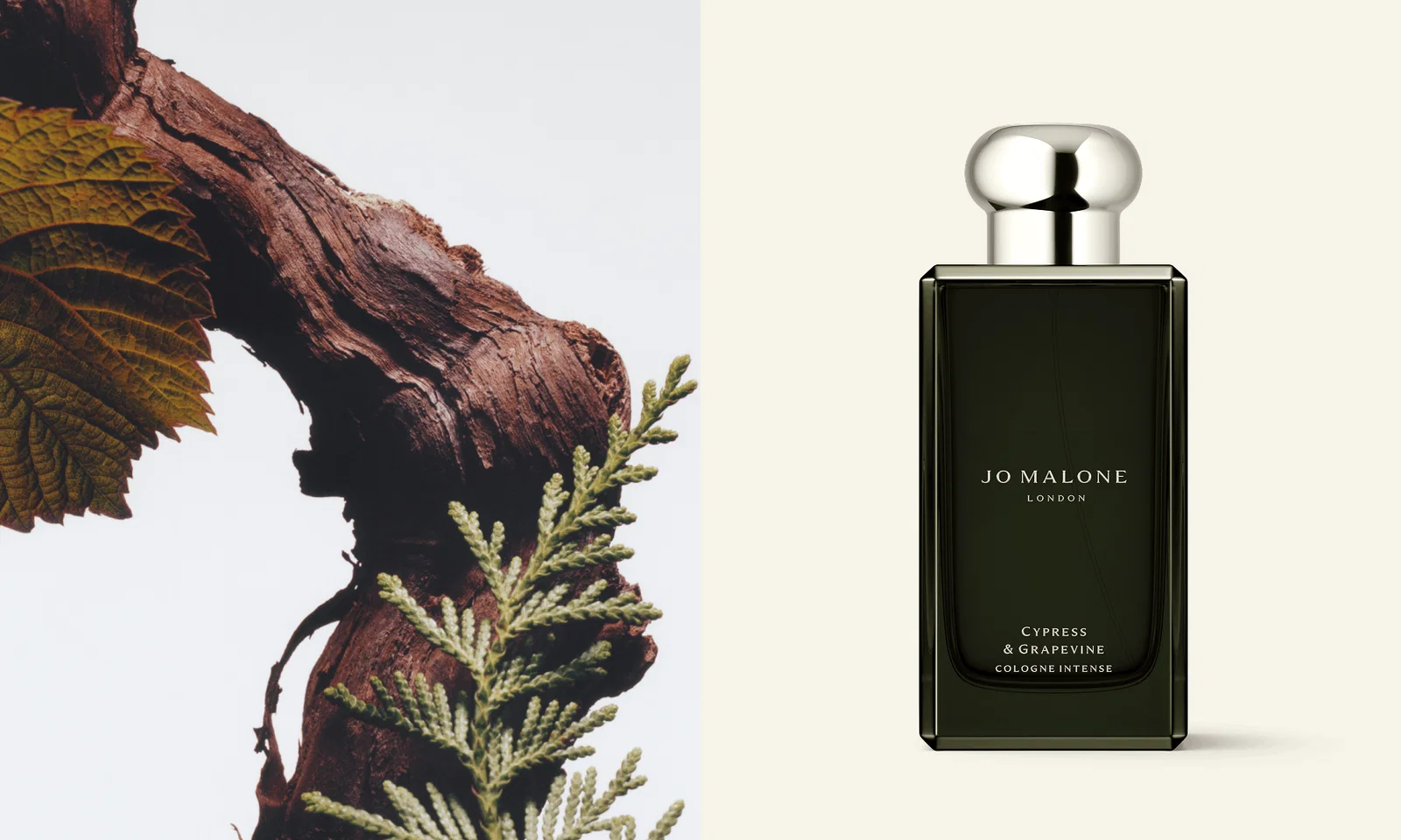 Cypress & Grapevine men's cologne.