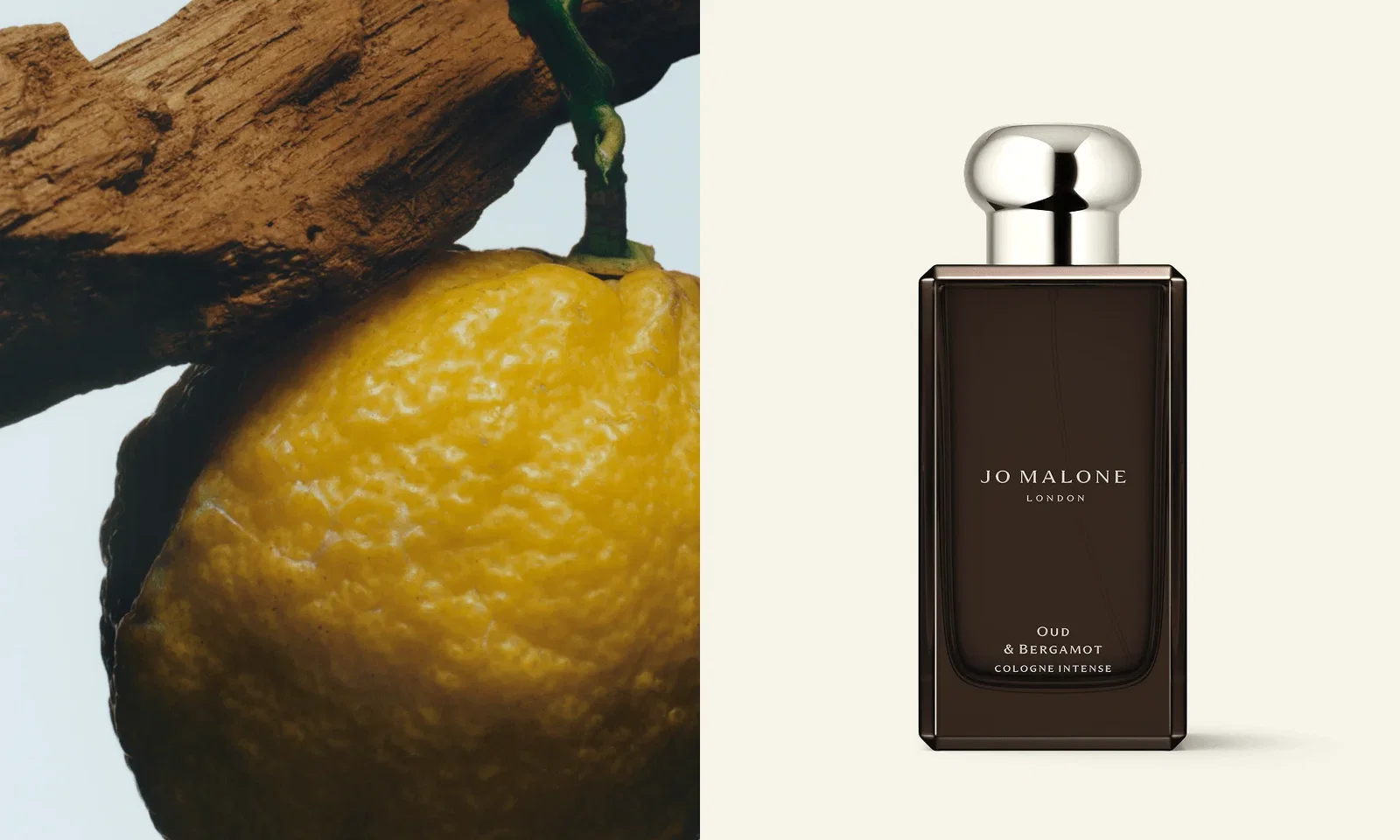 Oud & Bergamot men's cologne.