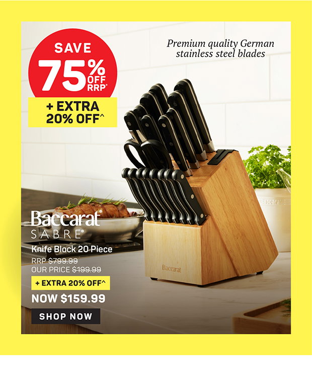 Baccarat SABRE Knife Block 20 Piece