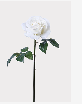https://www.afloral.com/products/natural-touch-artificial-rose-in-white-22