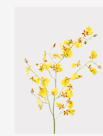 Artificial Dancing Orchids in Yellow - 46