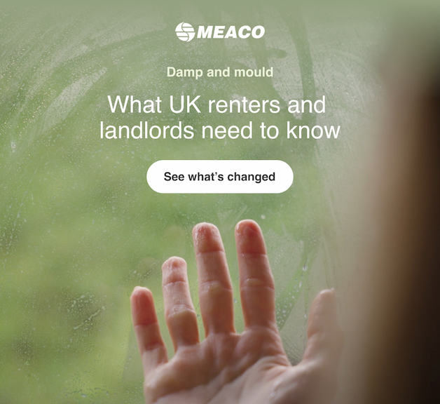 Damp and mould: What UK renters and landlords need to know