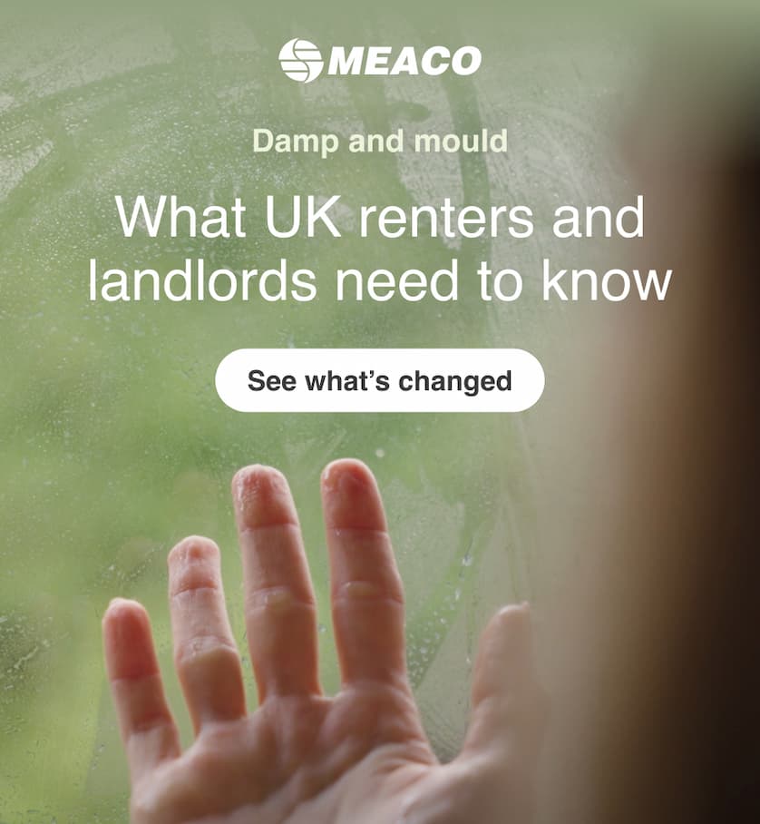 Damp and mould: What UK renters and landlords need to know