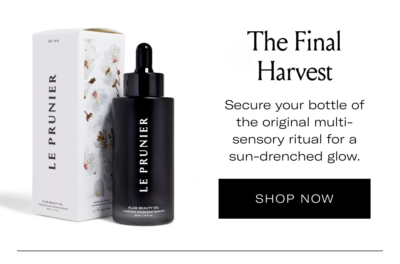 The Final Harvest  Secure your bottle of the original multi-sensory ritual for a sun-drenched glow.  SHOP NOW