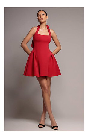 Corset Fit And Flare Halter Neck Skater Mini Dress