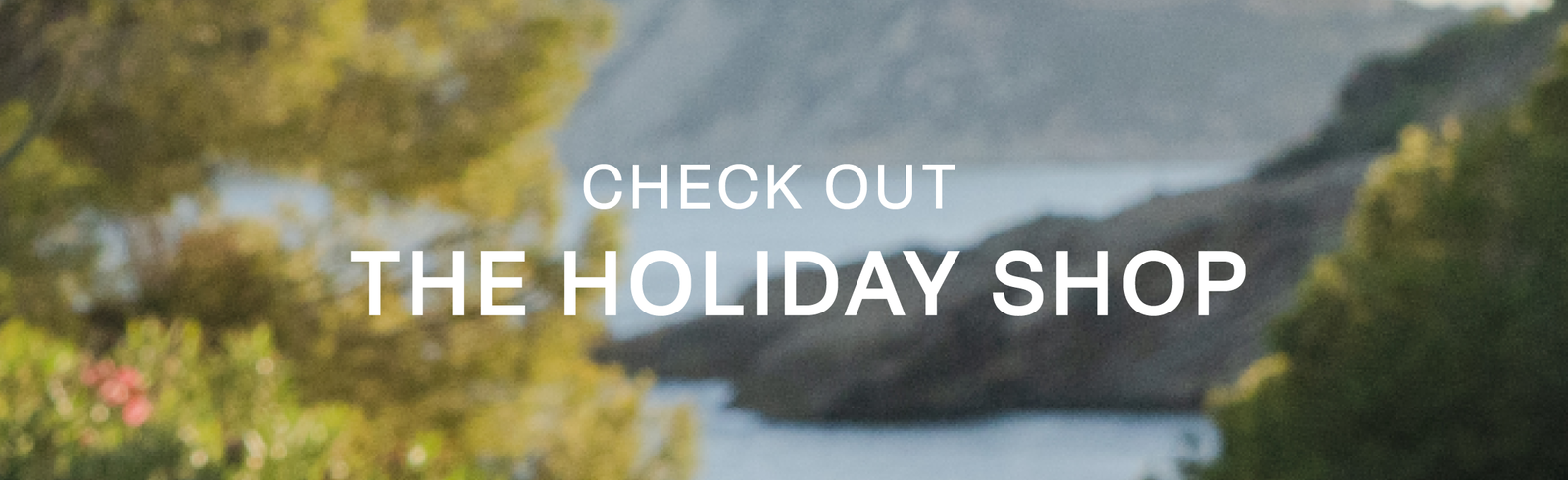 The Holiday Shop