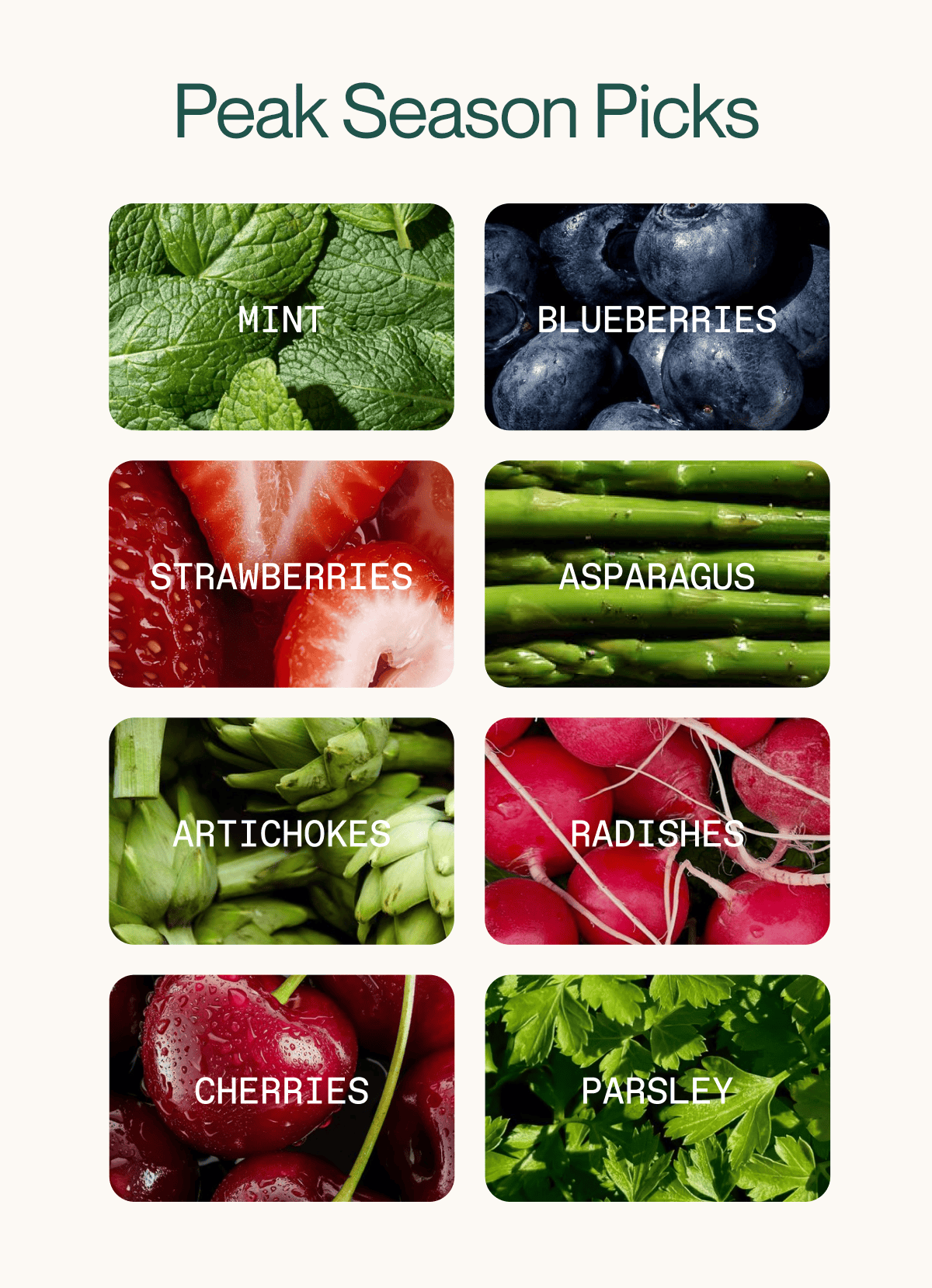 Peak Season Produce Picks
